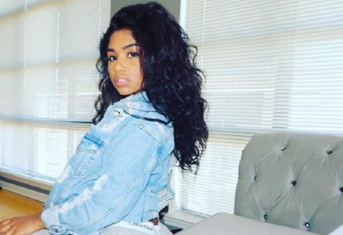 Facts About Nessa Colombiana - Meek Mill's Partner and Baby Mama